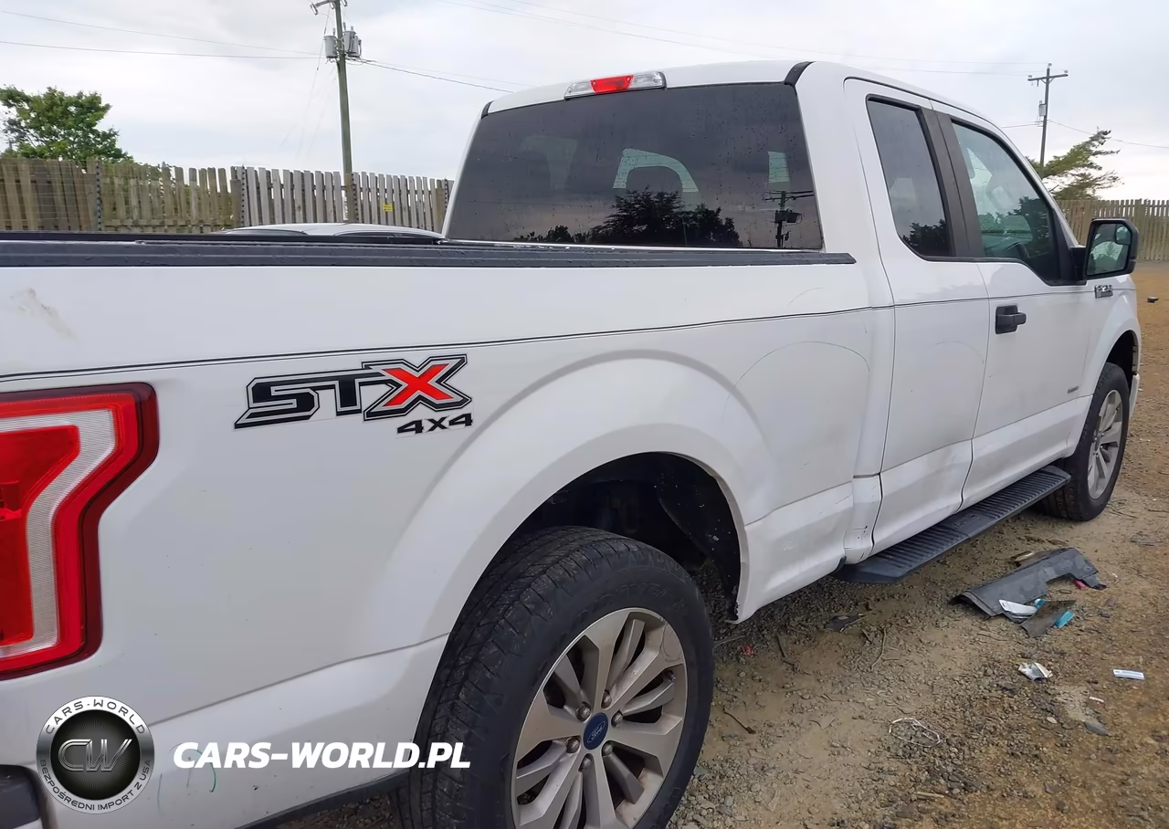 2017 Ford F-150 Xl VIN:1FTEX1EP8HFC74066 - 6