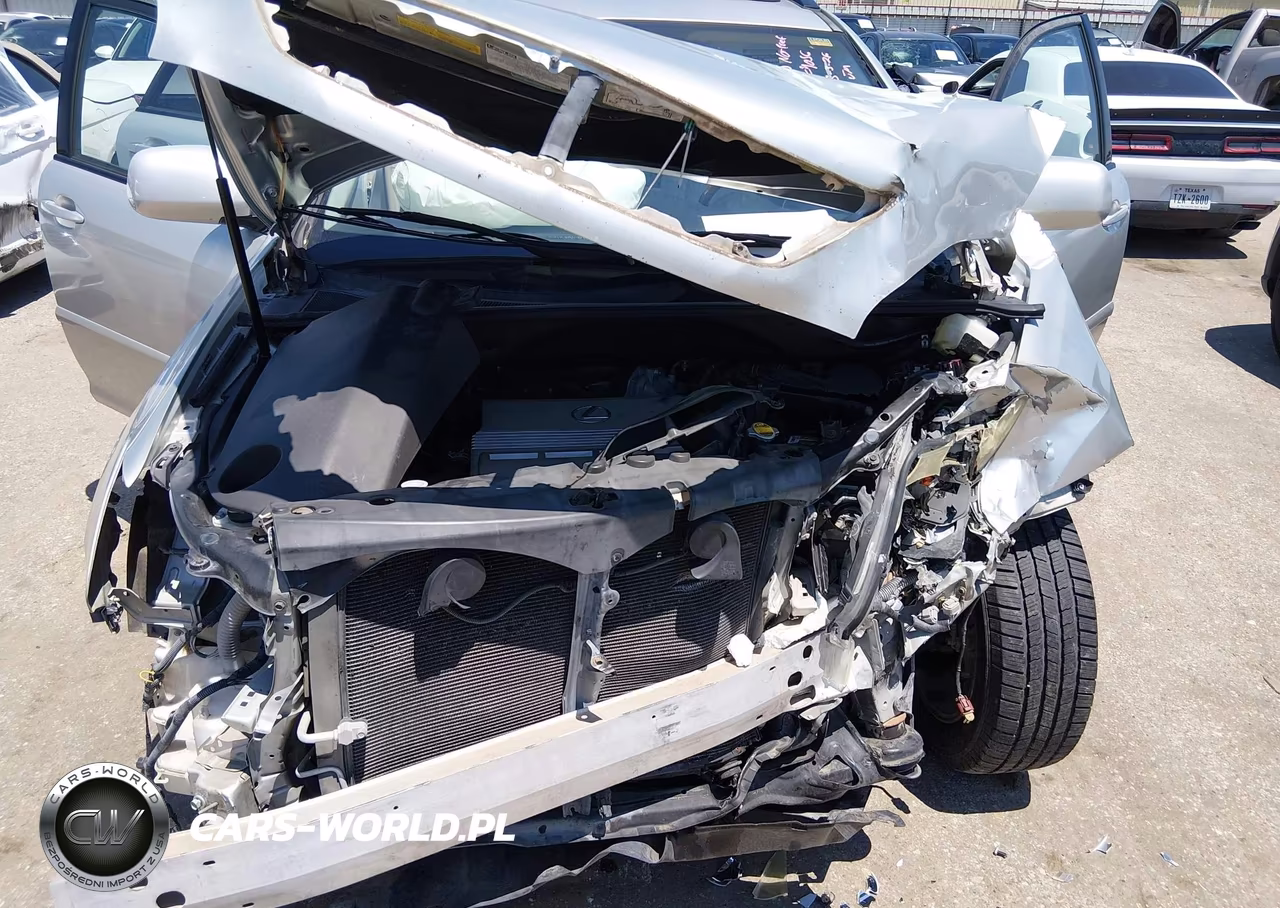 2004 Lexus Rx 330 VIN:JTJGA31UX40004056 - 10