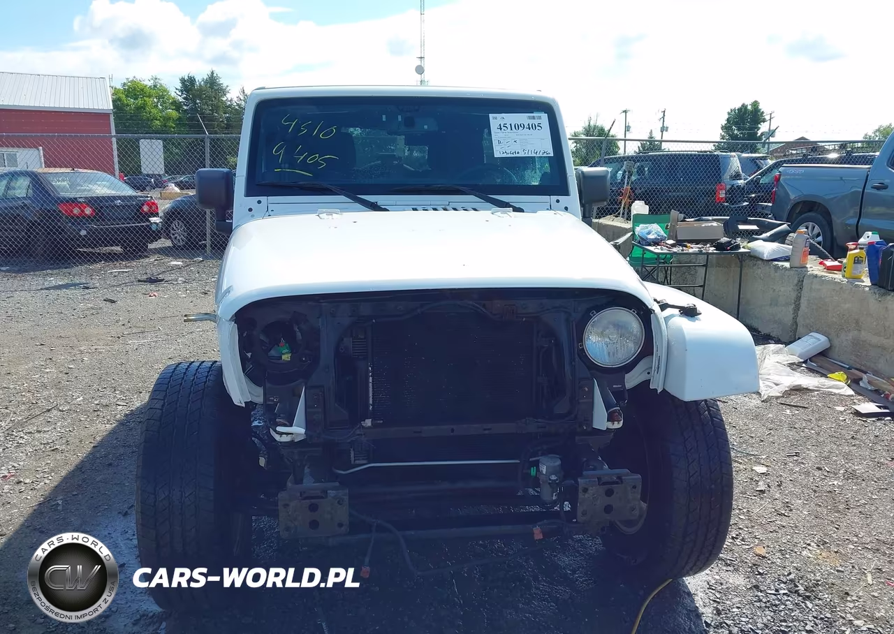 2014 Jeep Wrangler Unlimited Sahara VIN:1C4BJWEG0EL228665 - 12