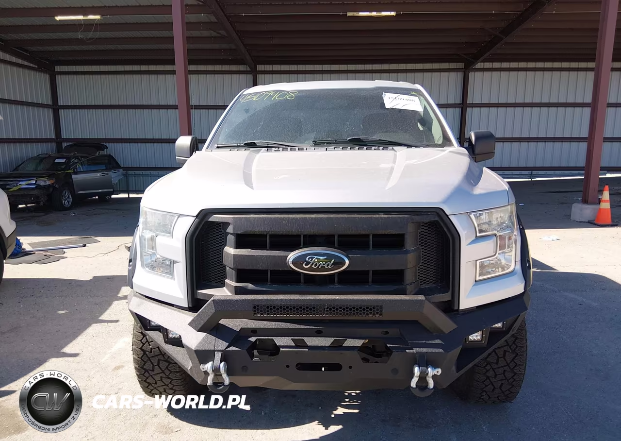 2015 Ford F-150 Xl VIN:1FTEW1C86FKE80747 - 13