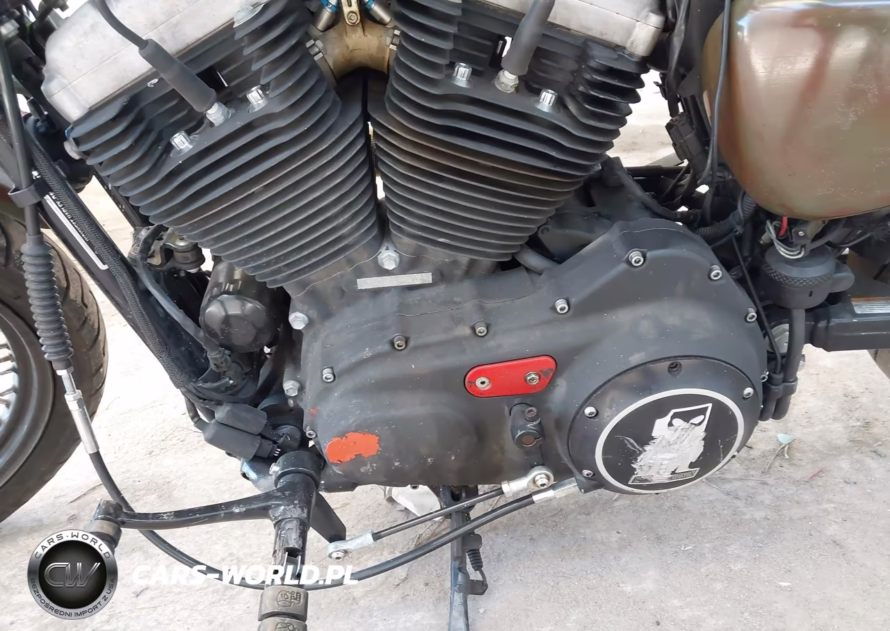 2008 Harley-Davidson Xl1200 N VIN:1HD1CZ3198K455304 - 9