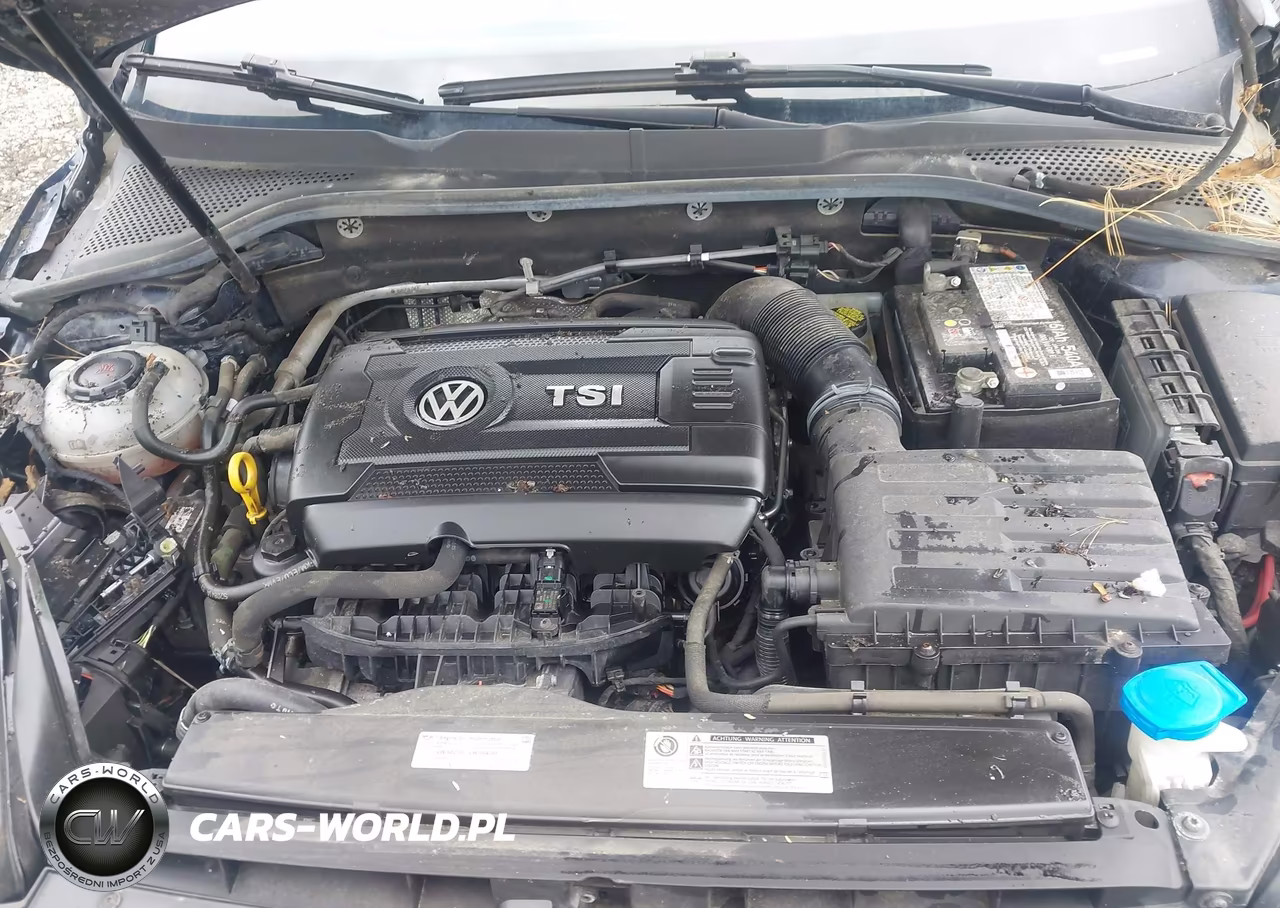 2019 Volkswagen Golf Alltrack Tsi S-Tsi Se-Tsi Sel VIN:3VWH17AU0KM514289 - 10