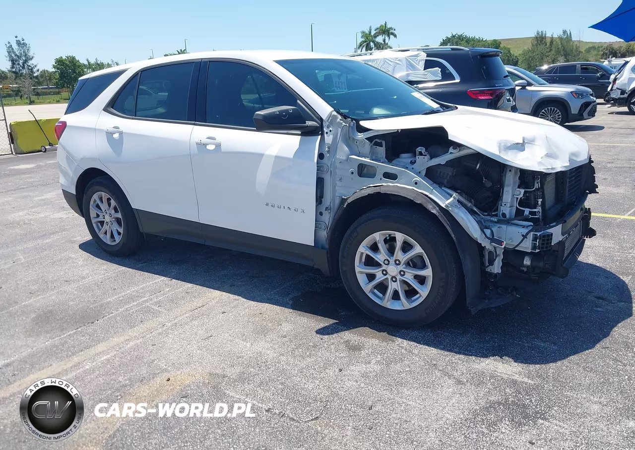 2019 Chevrolet Equinox Ls – zdjęcie 1 z 17