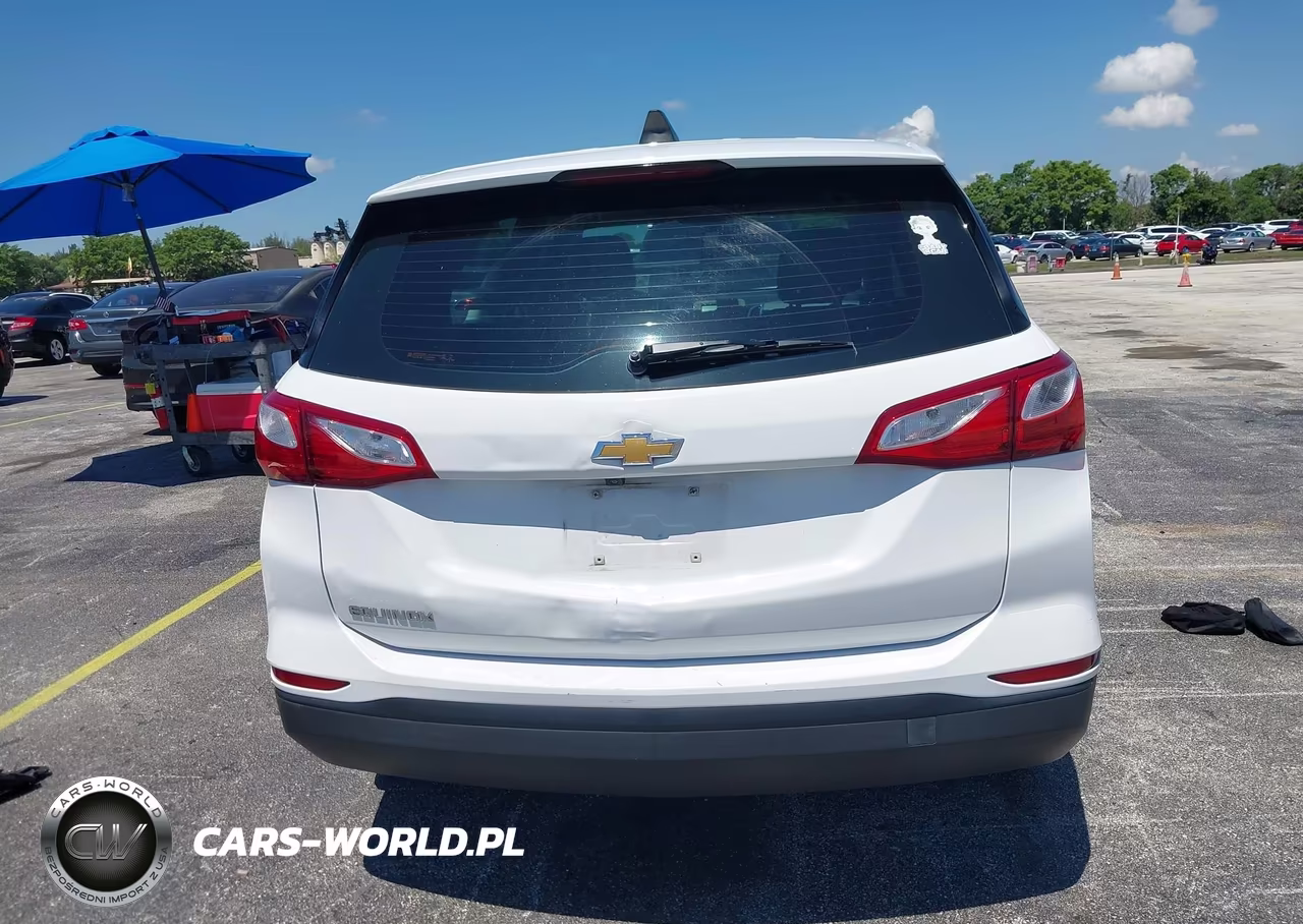 2019 Chevrolet Equinox Ls VIN:3GNAXHEV4KS641464 - 17