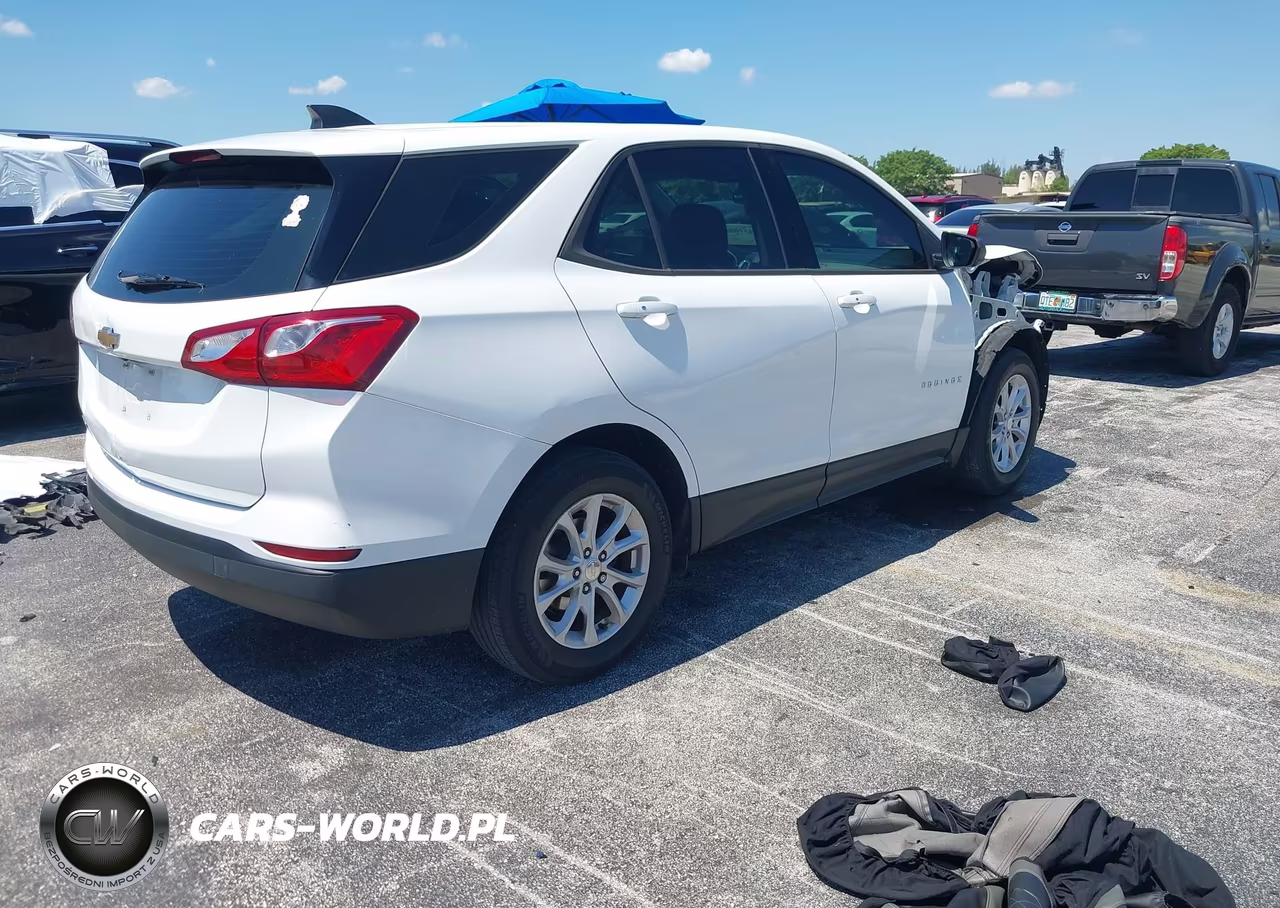 2019 Chevrolet Equinox Ls VIN:3GNAXHEV4KS641464 - 4