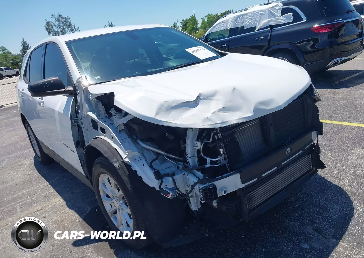2019 Chevrolet Equinox Ls VIN:3GNAXHEV4KS641464 - 6