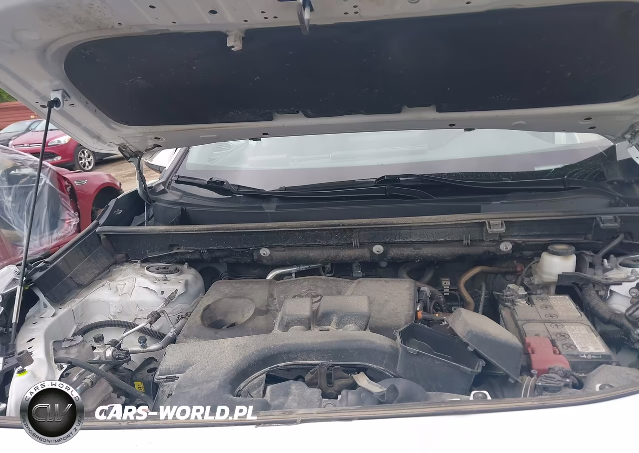 2023 Toyota Rav4 Xle VIN:2T3W1RFV4PC241047 - 10