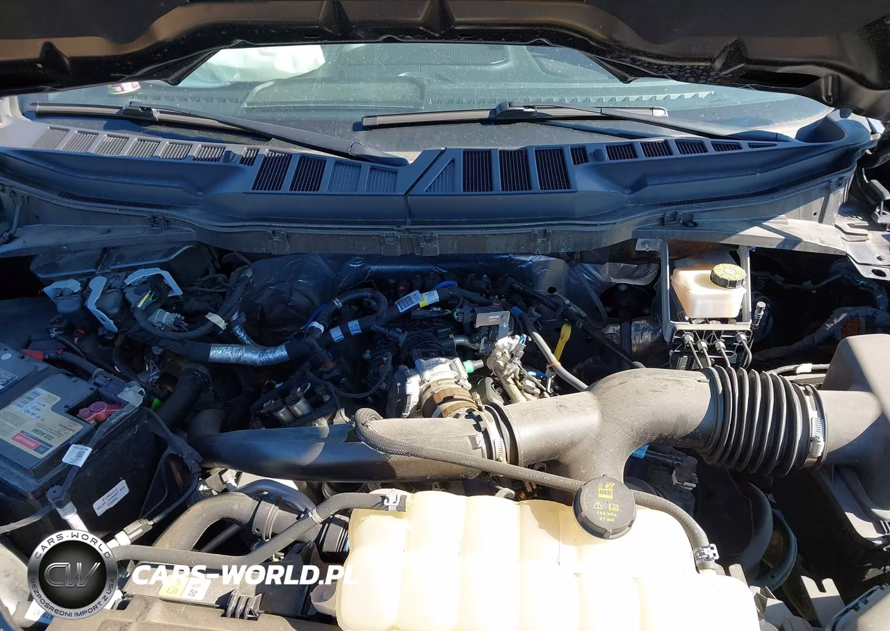 2024 Ford F-150 Xlt VIN:1FTEW3LP8RKD25625 - 10