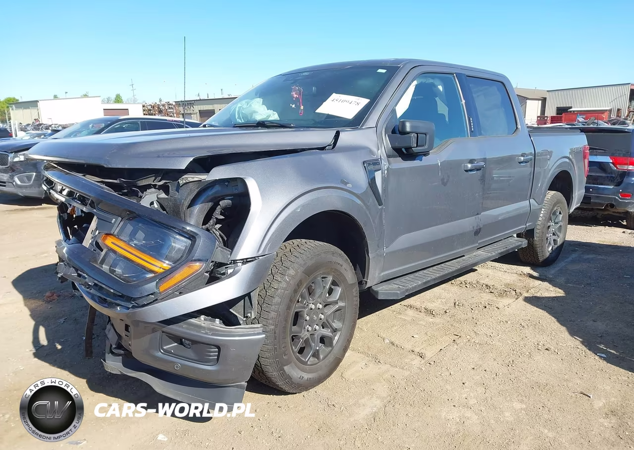 2024 Ford F-150 Xlt VIN:1FTEW3LP8RKD25625 - 2