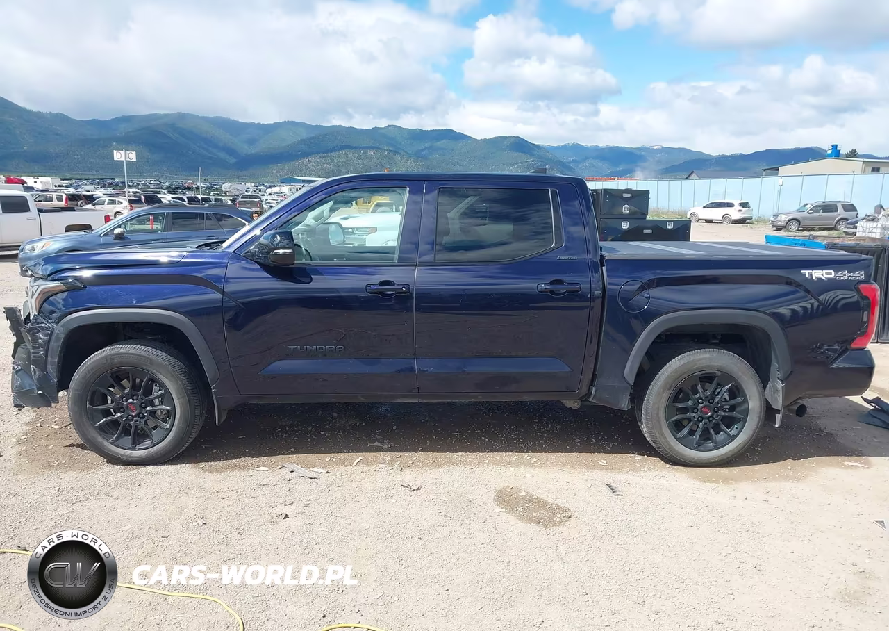2024 Toyota Tundra Limited VIN:5TFWA5DB8RX131682 - 15