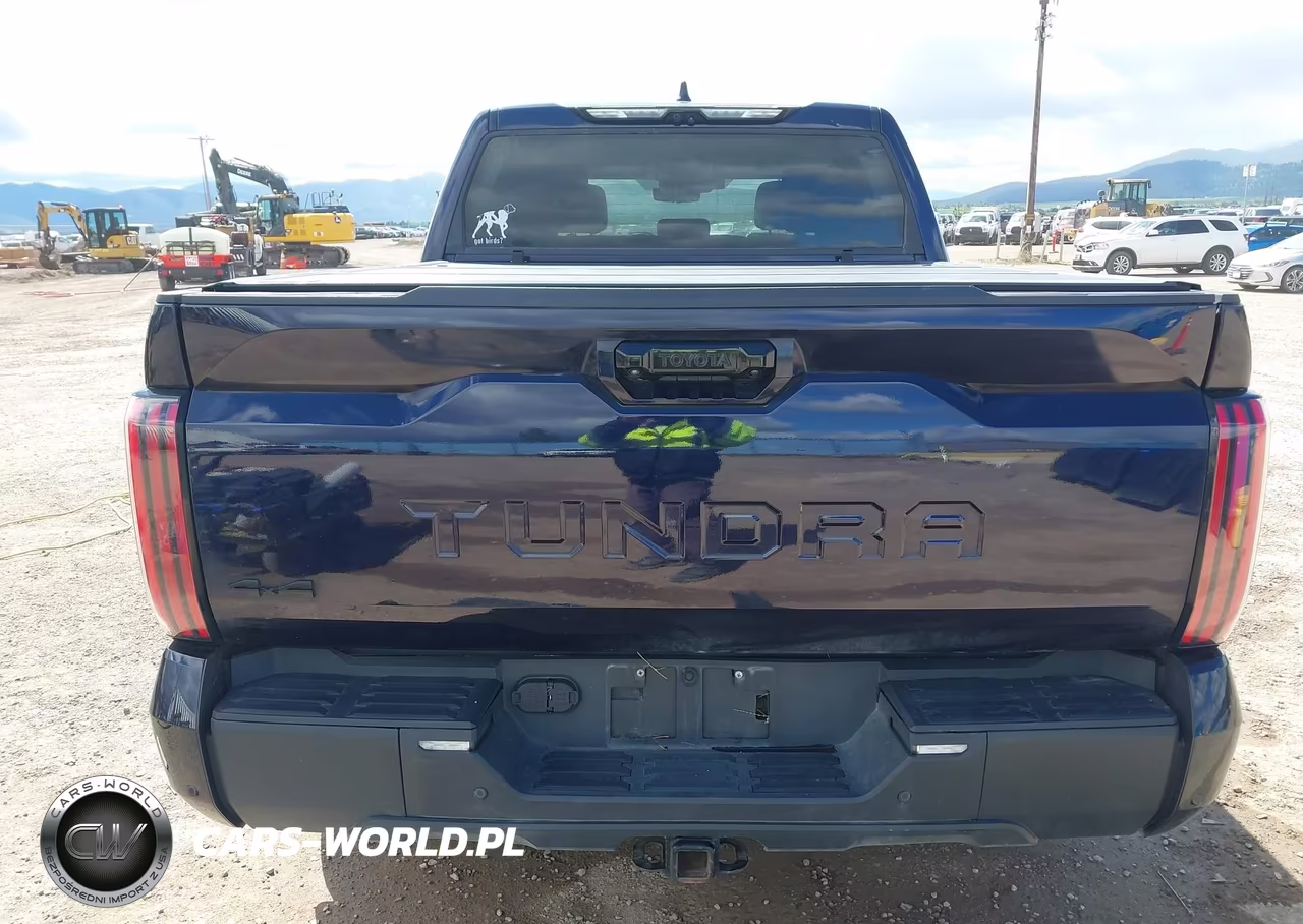 2024 Toyota Tundra Limited VIN:5TFWA5DB8RX131682 - 17