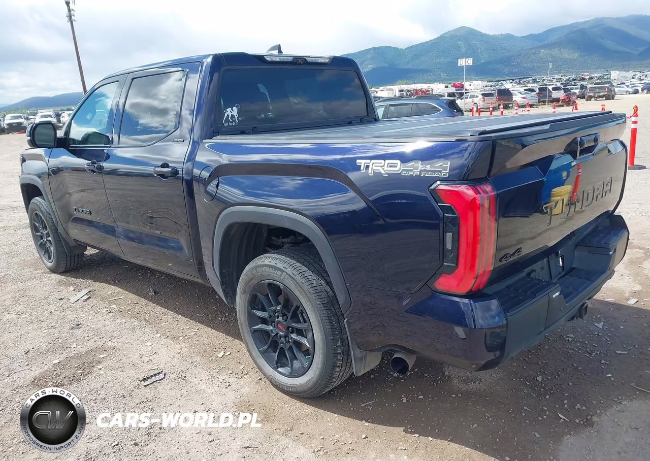 2024 Toyota Tundra Limited VIN:5TFWA5DB8RX131682 - 3