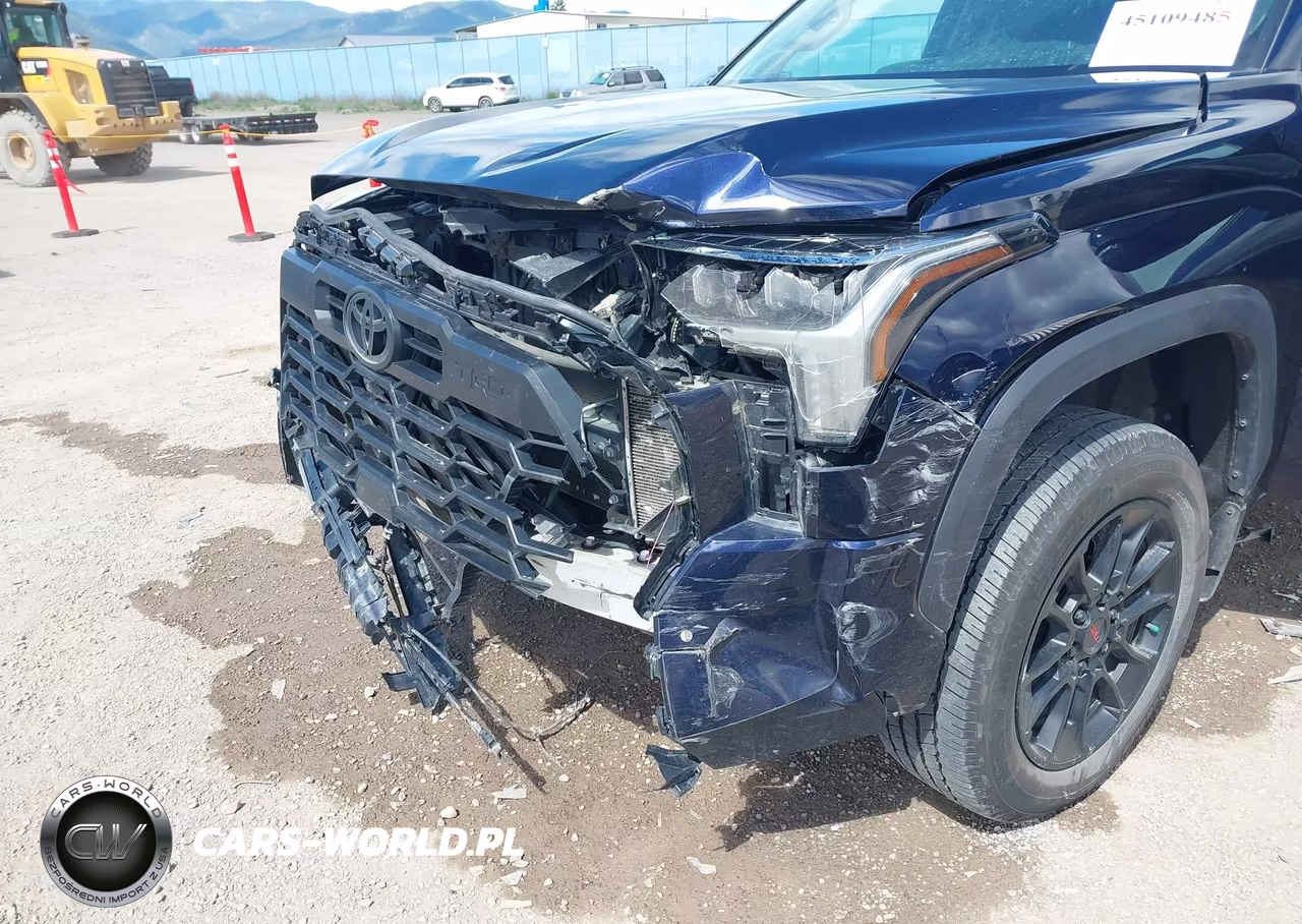 2024 Toyota Tundra Limited VIN:5TFWA5DB8RX131682 - 6