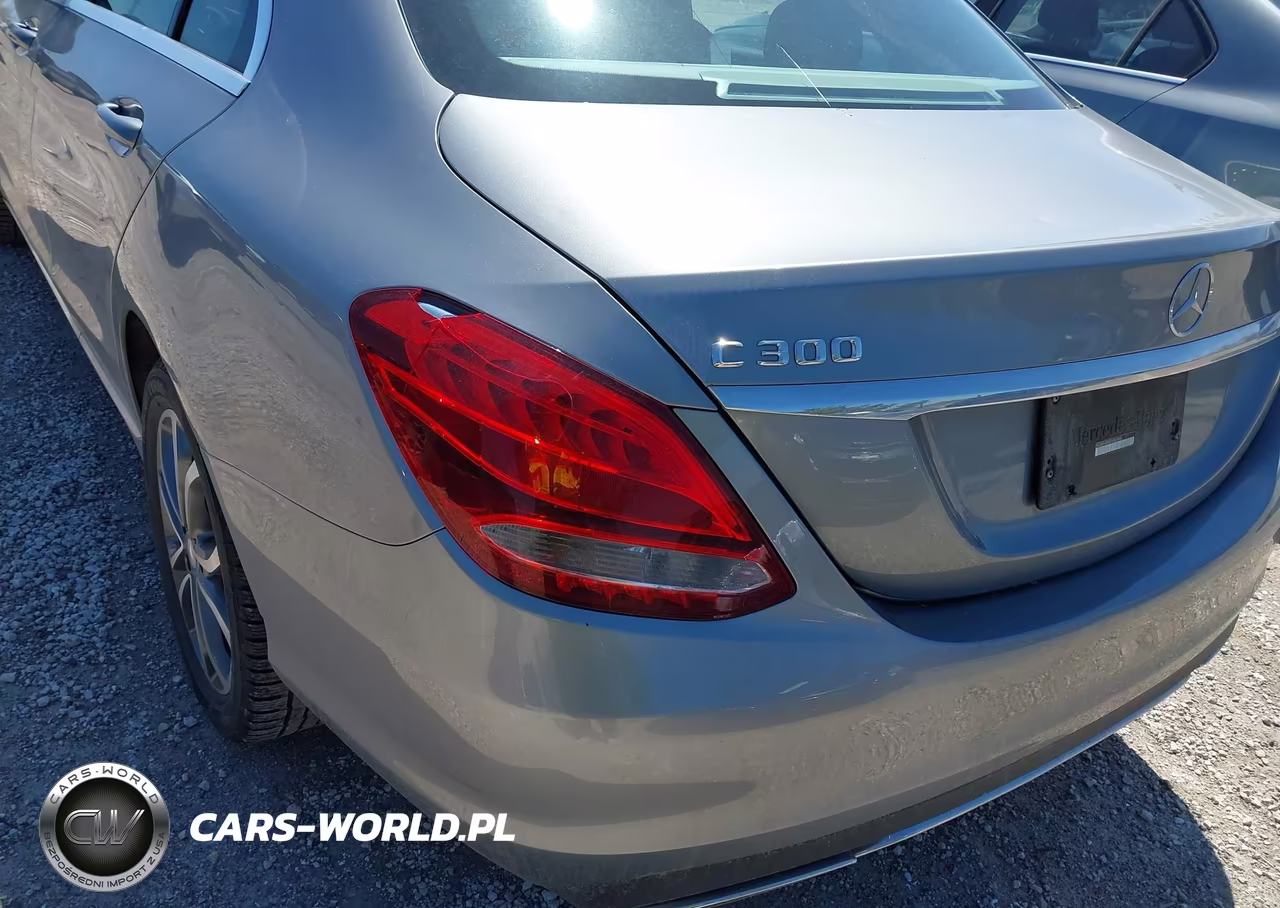 2015 Mercedes-Benz C 300 4Matic-Luxury 4Matic-Sport 4Matic VIN:55SWF4KB0FU082495 - 17