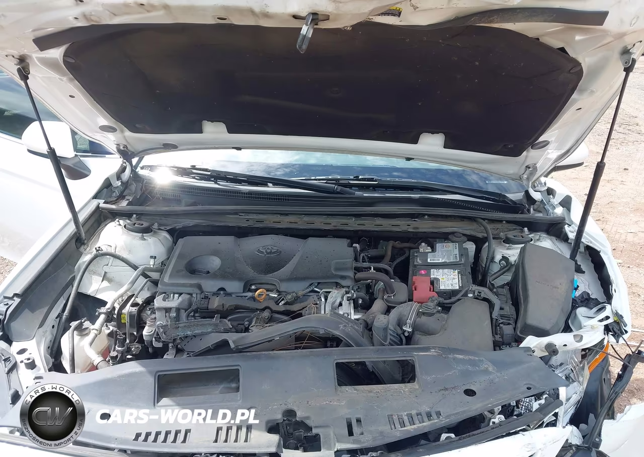 2019 Toyota Camry Se VIN:4T1B11HK6KU730455 - 10