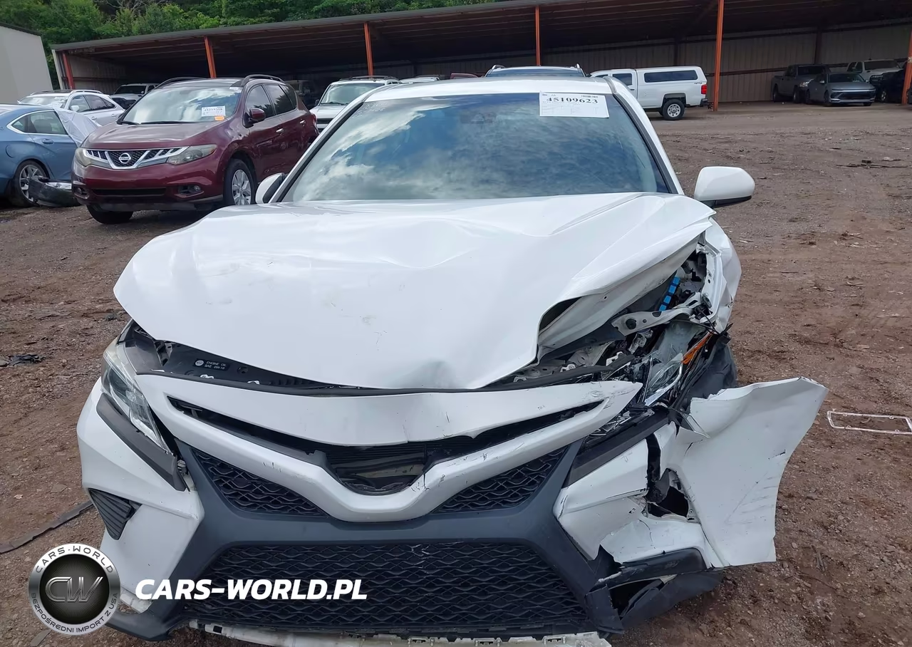 2019 Toyota Camry Se VIN:4T1B11HK6KU730455 - 12