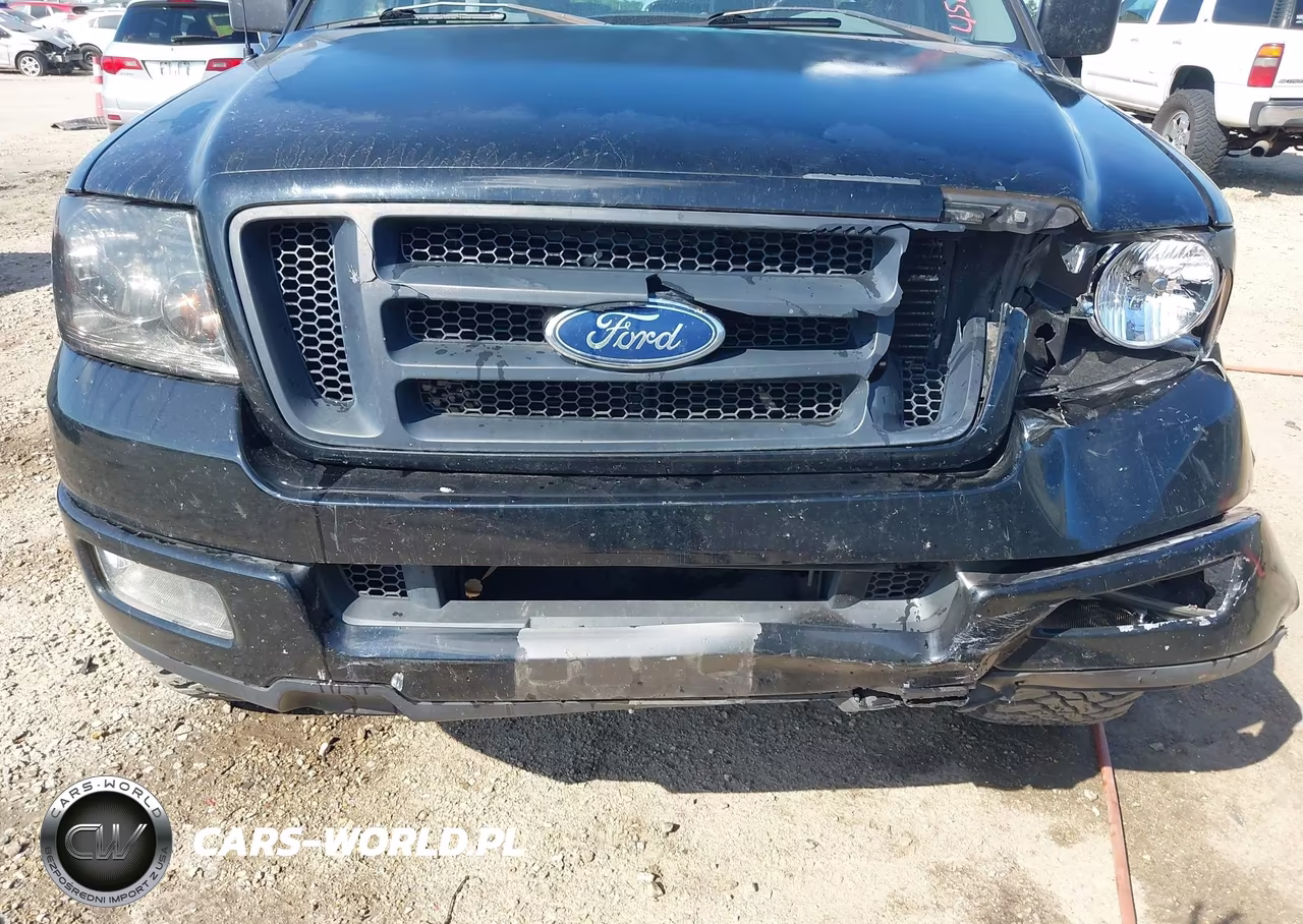 2005 Ford F-150 Stx-Xl-Xlt VIN:1FTRF12W35NA98853 - 12