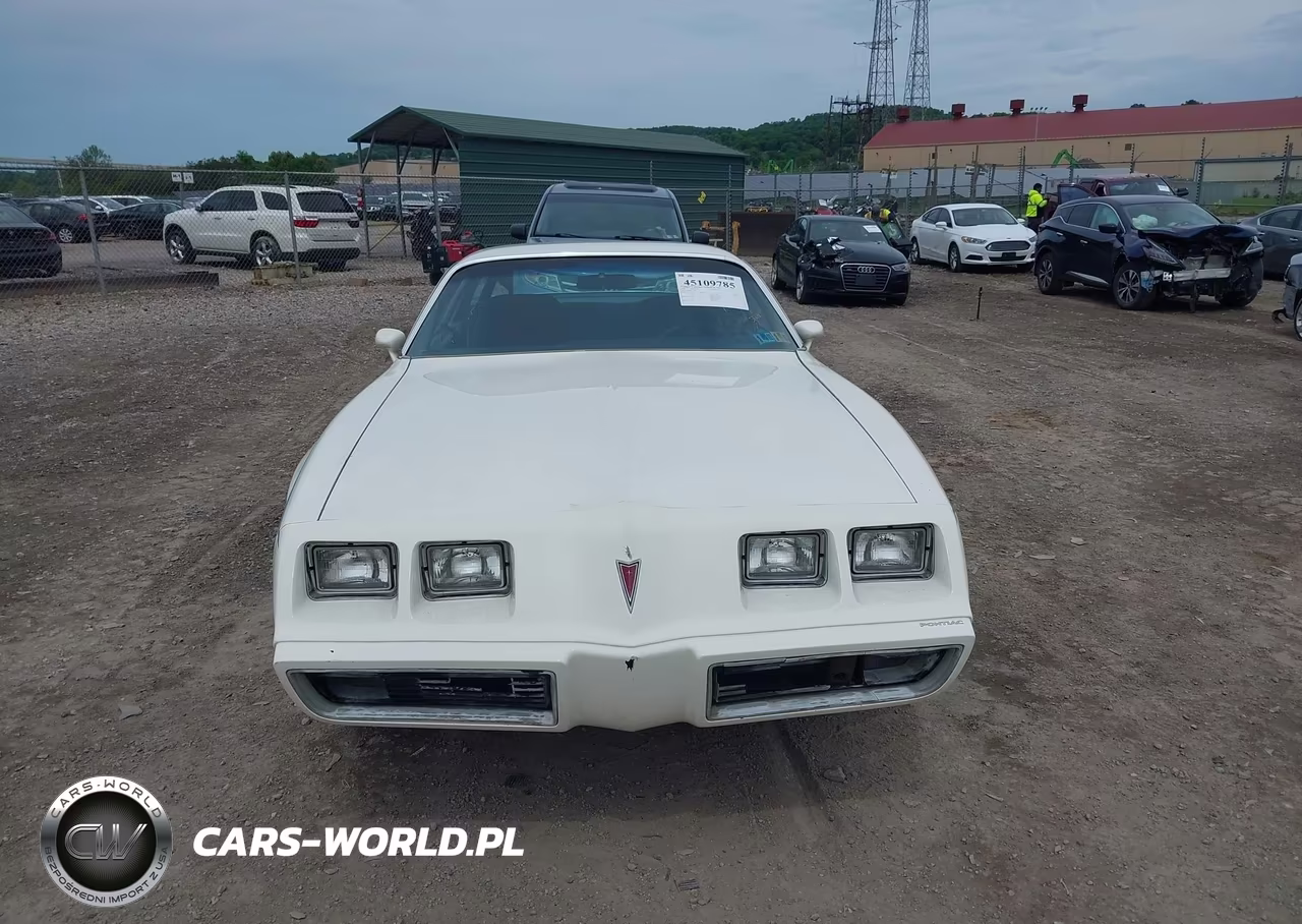 1980 Pontiac Firebird VIN:2T87AAN119180 - 12