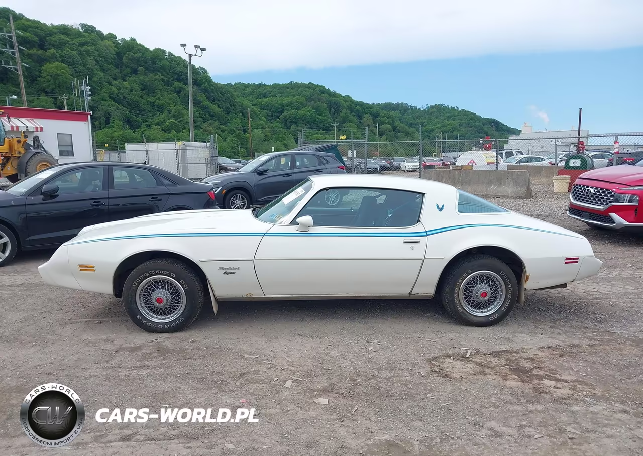 1980 Pontiac Firebird VIN:2T87AAN119180 - 14