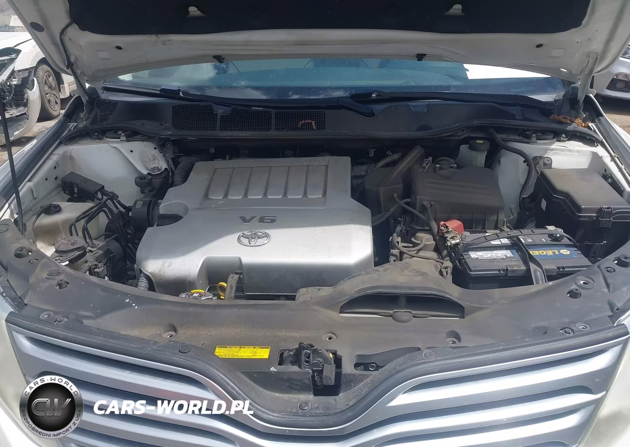 2010 Toyota Venza Base V6 VIN:4T3BK3BB7AU043945 - 10