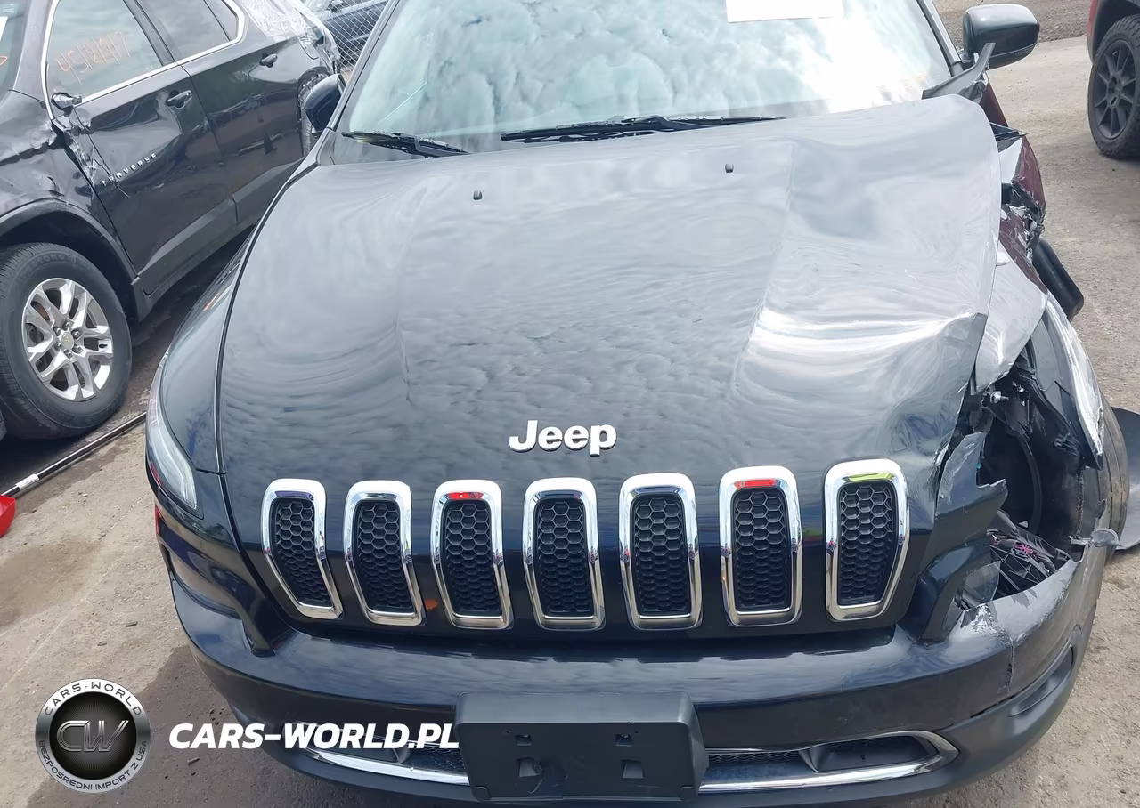 2014 Jeep Cherokee Limited VIN:1C4PJMDS1EW243268 - 12