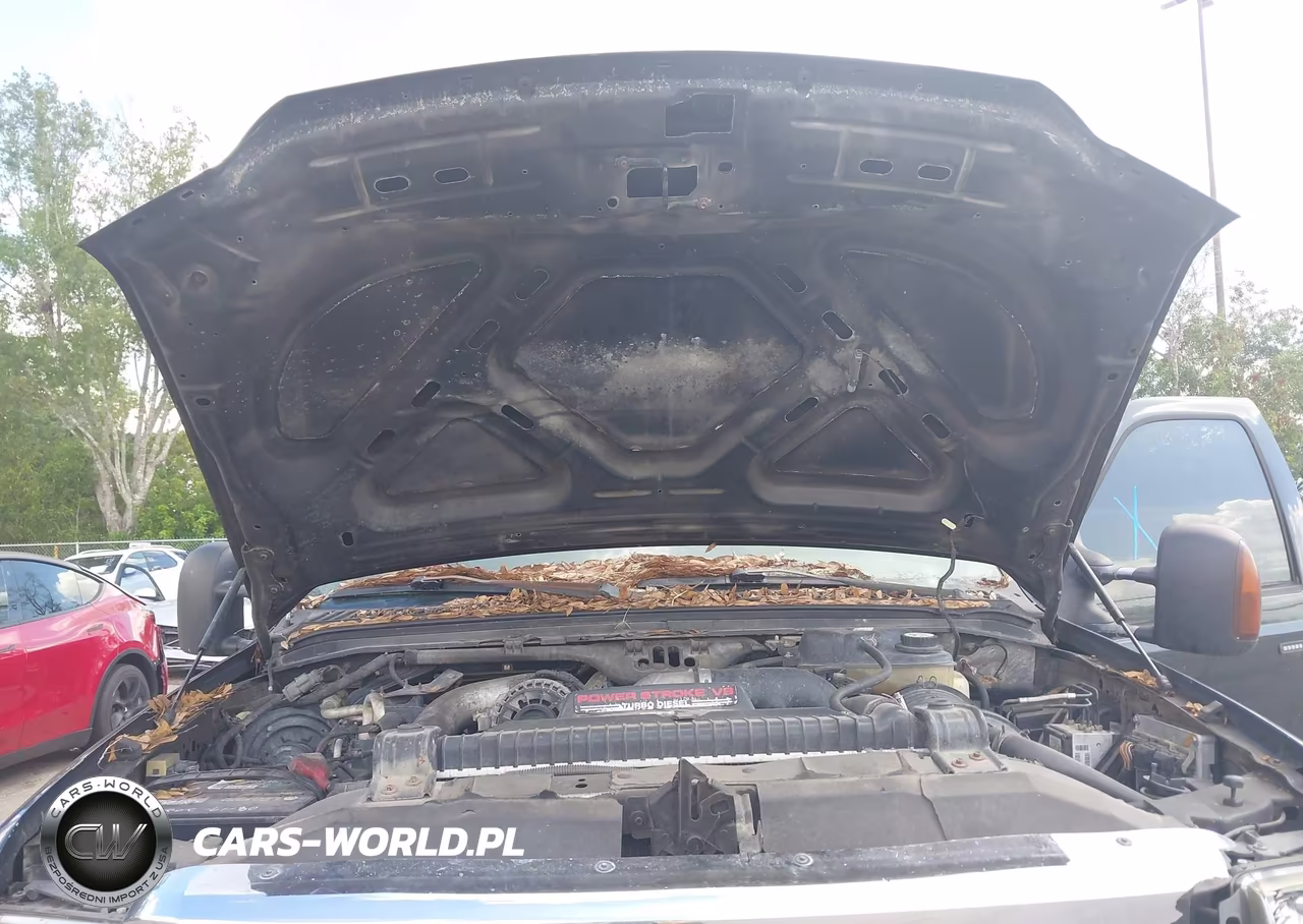 2005 Ford F-250 Lariat-Xl-Xlt VIN:1FTSW21P85EA05133 - 10