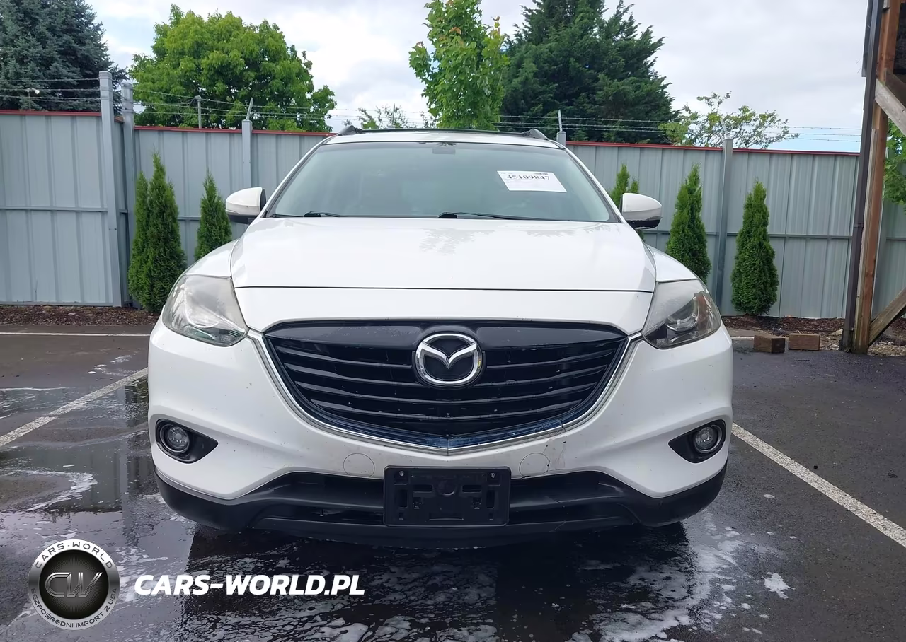 2014 Mazda Cx-9 Grand Touring VIN:JM3TB3DAXE0445212 - 12