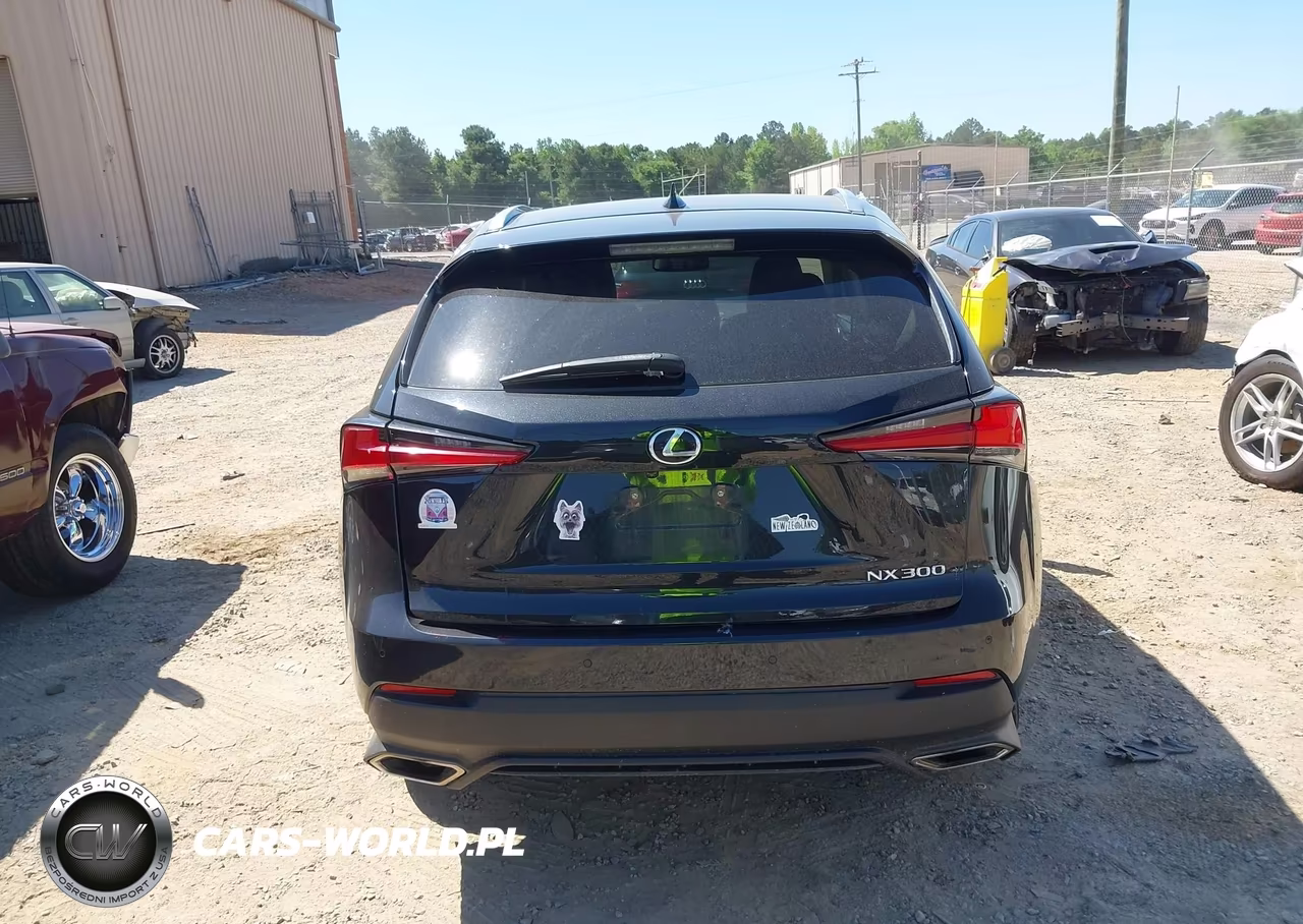 2021 Lexus Nx 300 VIN:JTJDARBZ9M2184411 - 16