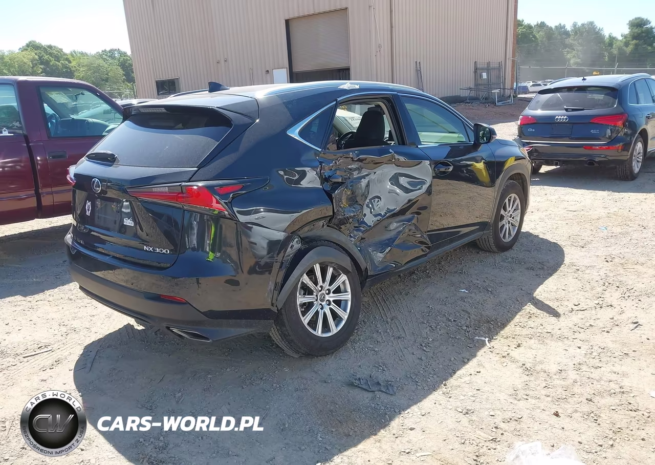 2021 Lexus Nx 300 VIN:JTJDARBZ9M2184411 - 4