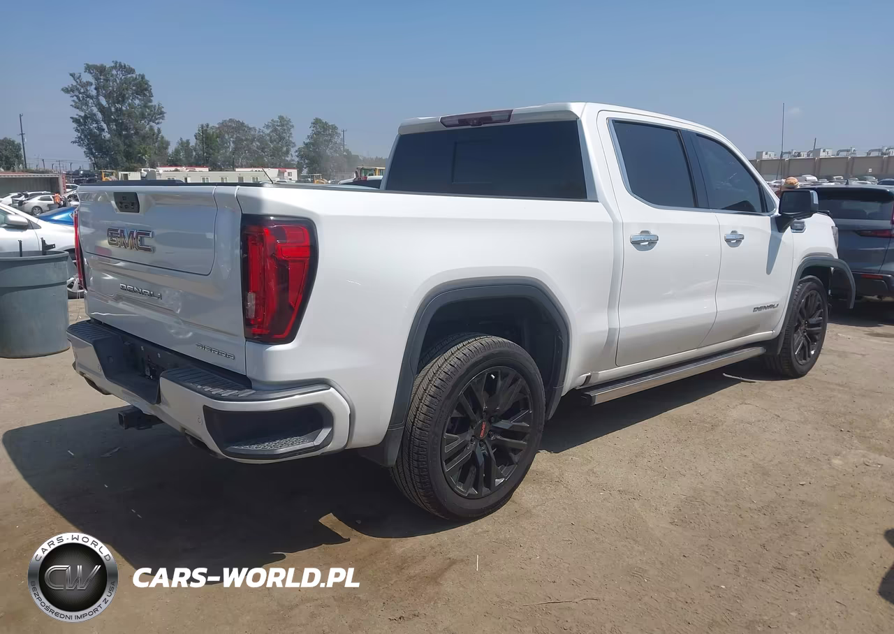 2020 GMC Sierra 1500 4Wd Short Box Denali VIN:1GTU9FEL0LZ141891 - 4