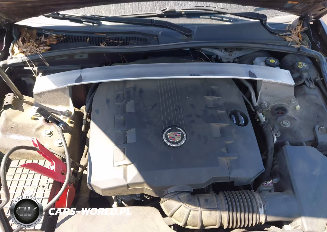 2010 Cadillac Cts Luxury VIN:1G6DE5EG6A0134487 - 10