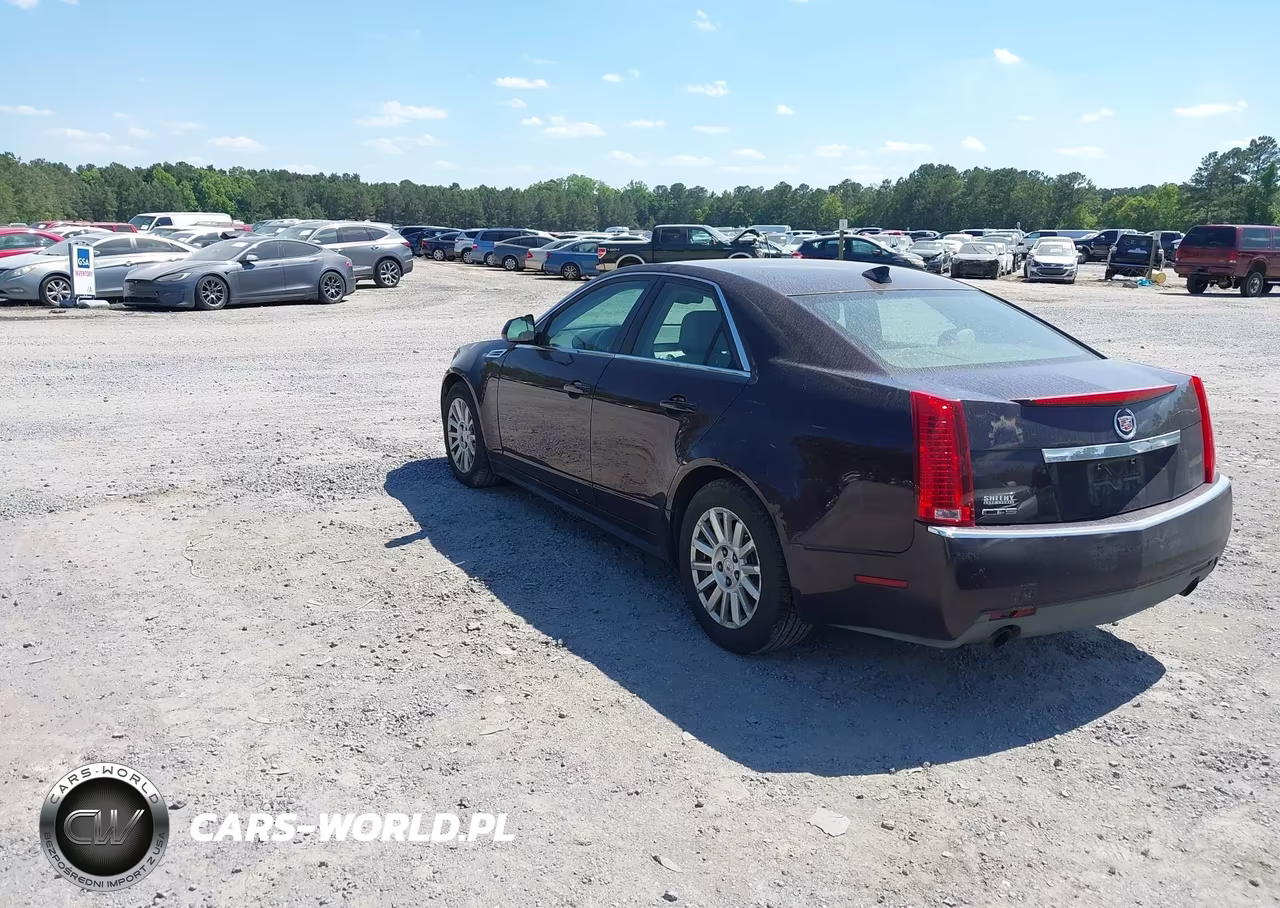 2010 Cadillac Cts Luxury VIN:1G6DE5EG6A0134487 - 3