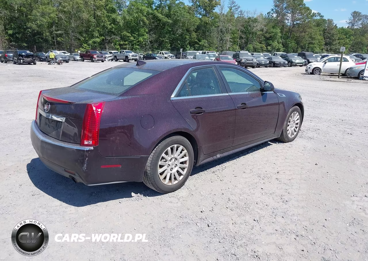 2010 Cadillac Cts Luxury VIN:1G6DE5EG6A0134487 - 4