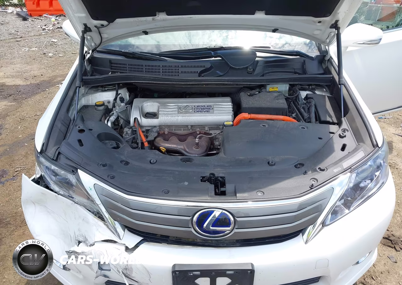 2010 Lexus Hs 250H Premium VIN:JTHBB1BA7A2023780 - 10