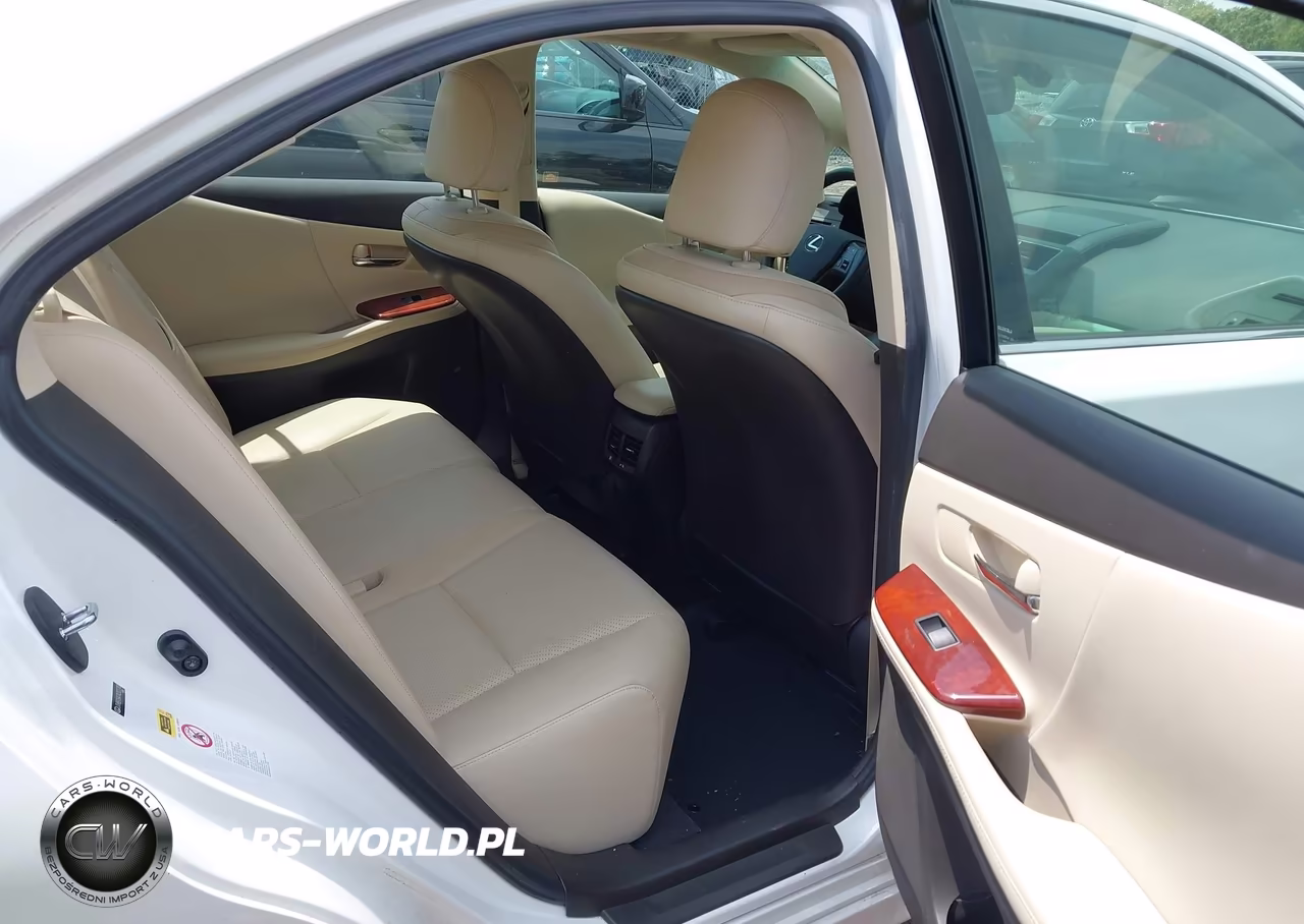 2010 Lexus Hs 250H Premium VIN:JTHBB1BA7A2023780 - 8