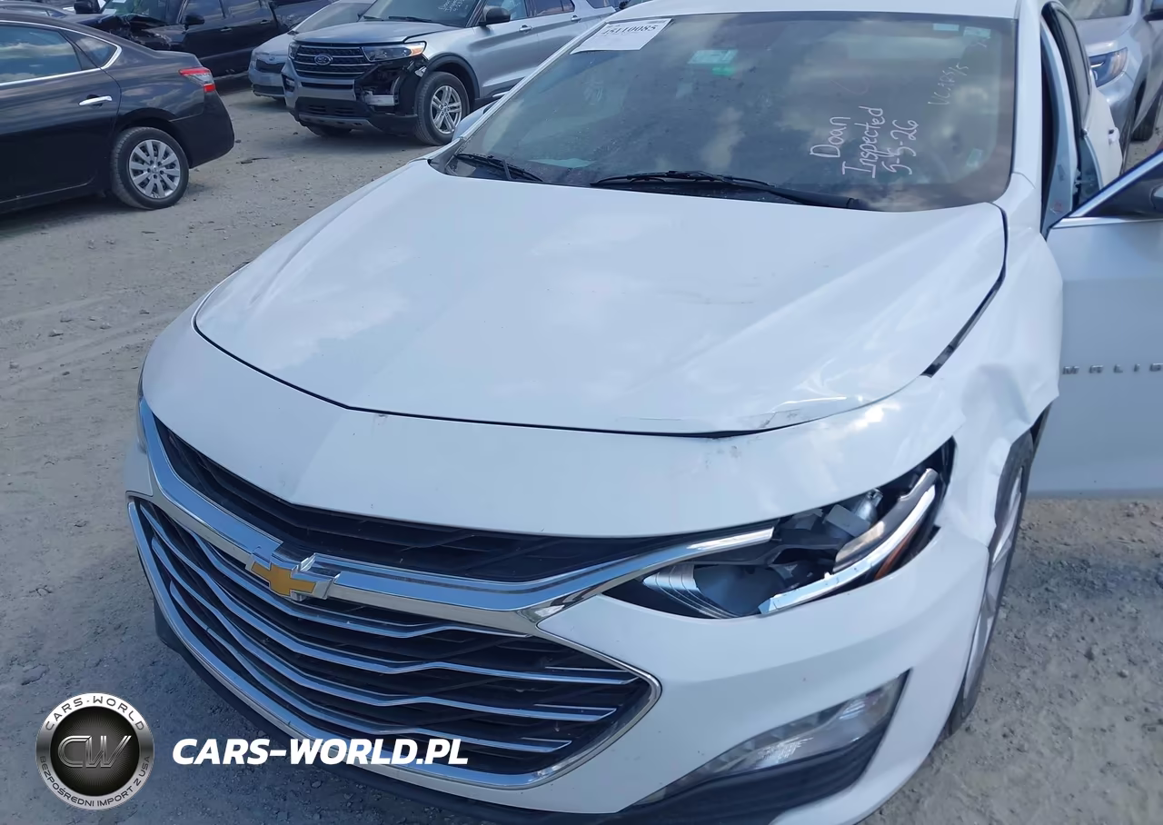 2023 Chevrolet Malibu Fwd 1Lt VIN:1G1ZD5ST6PF206925 - 10
