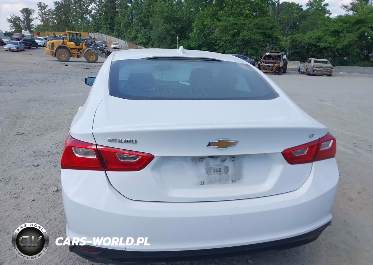 2023 Chevrolet Malibu Fwd 1Lt VIN:1G1ZD5ST6PF206925 - 16