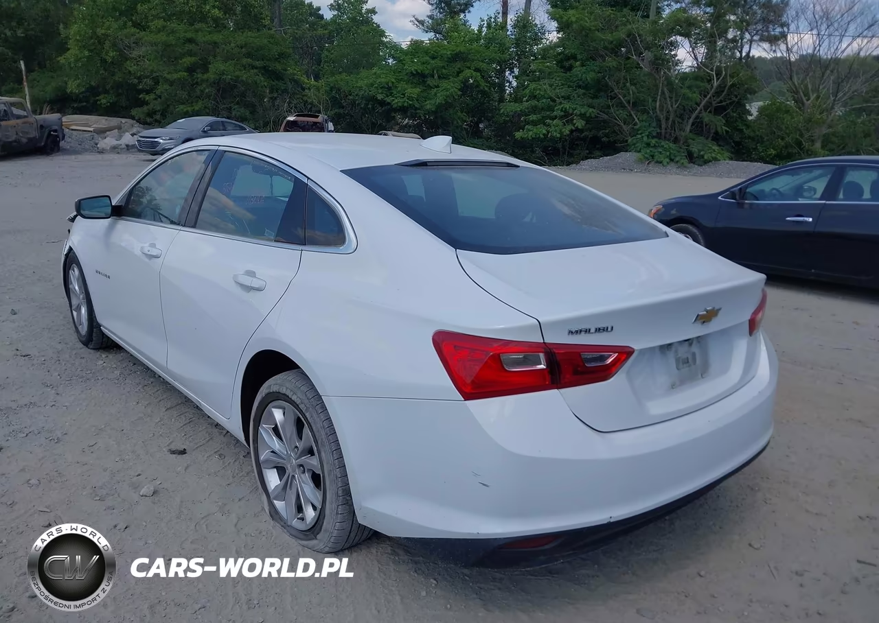 2023 Chevrolet Malibu Fwd 1Lt VIN:1G1ZD5ST6PF206925 - 3