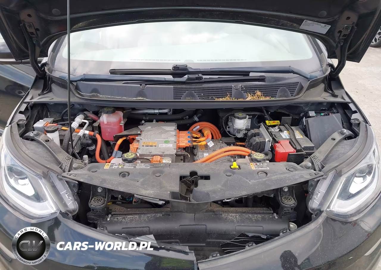 2019 Chevrolet Bolt Ev Premier VIN:1G1FZ6S00K4138724 - 10