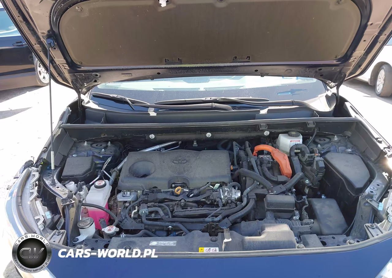 2024 Toyota Rav4 Hybrid Xle VIN:4T3RWRFV4RU129123 - 10