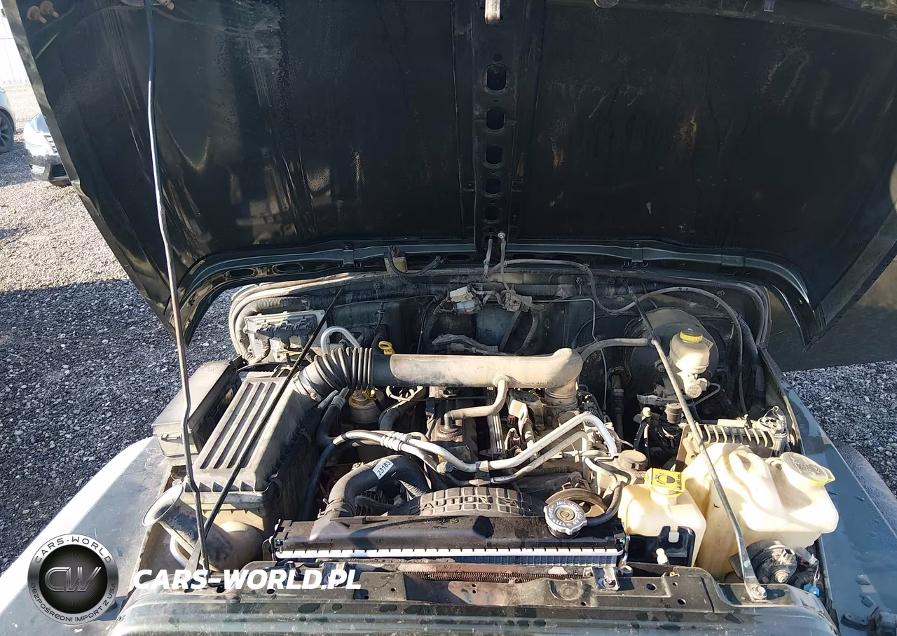 2004 Jeep Wrangler X VIN:1J4FA39S54P715330 - 10