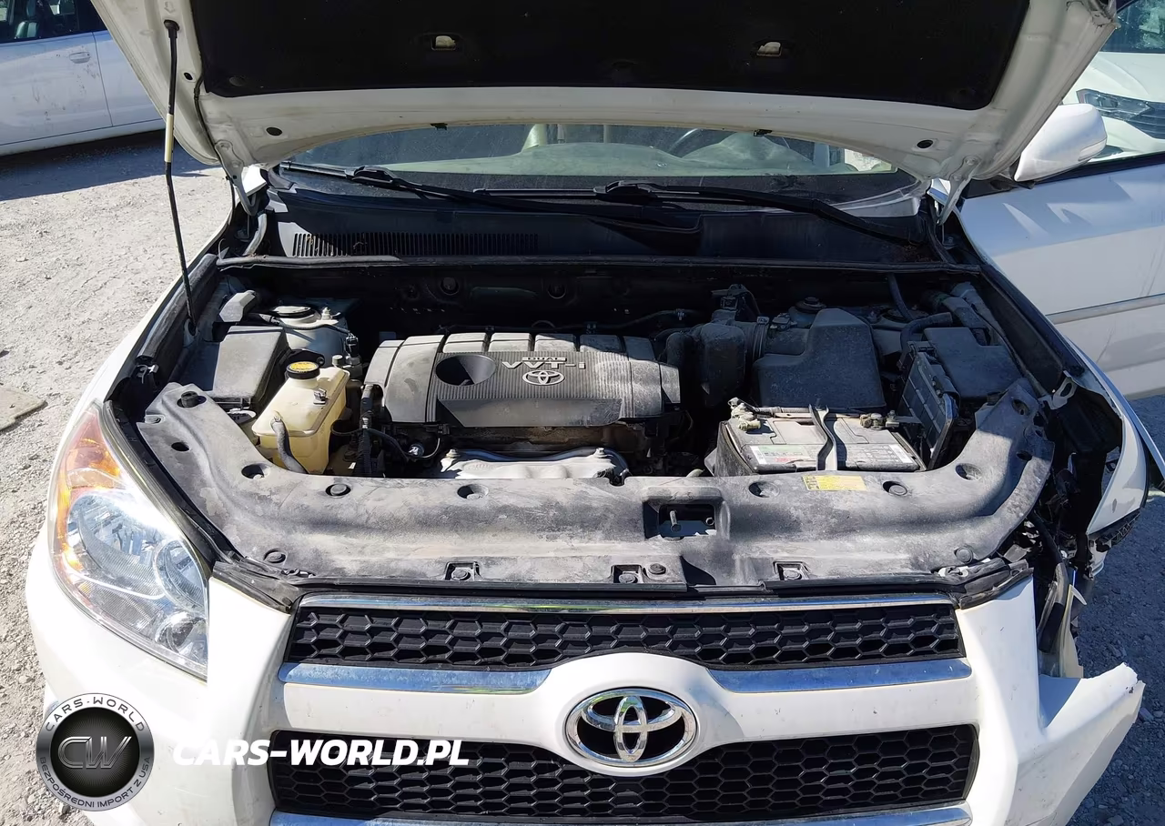 2009 Toyota Rav4 Limited VIN:JTMZF31V495011293 - 10