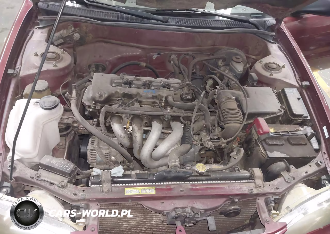 2000 Toyota Corolla Ve VIN:1NXBR12E2YZ401479 - 10