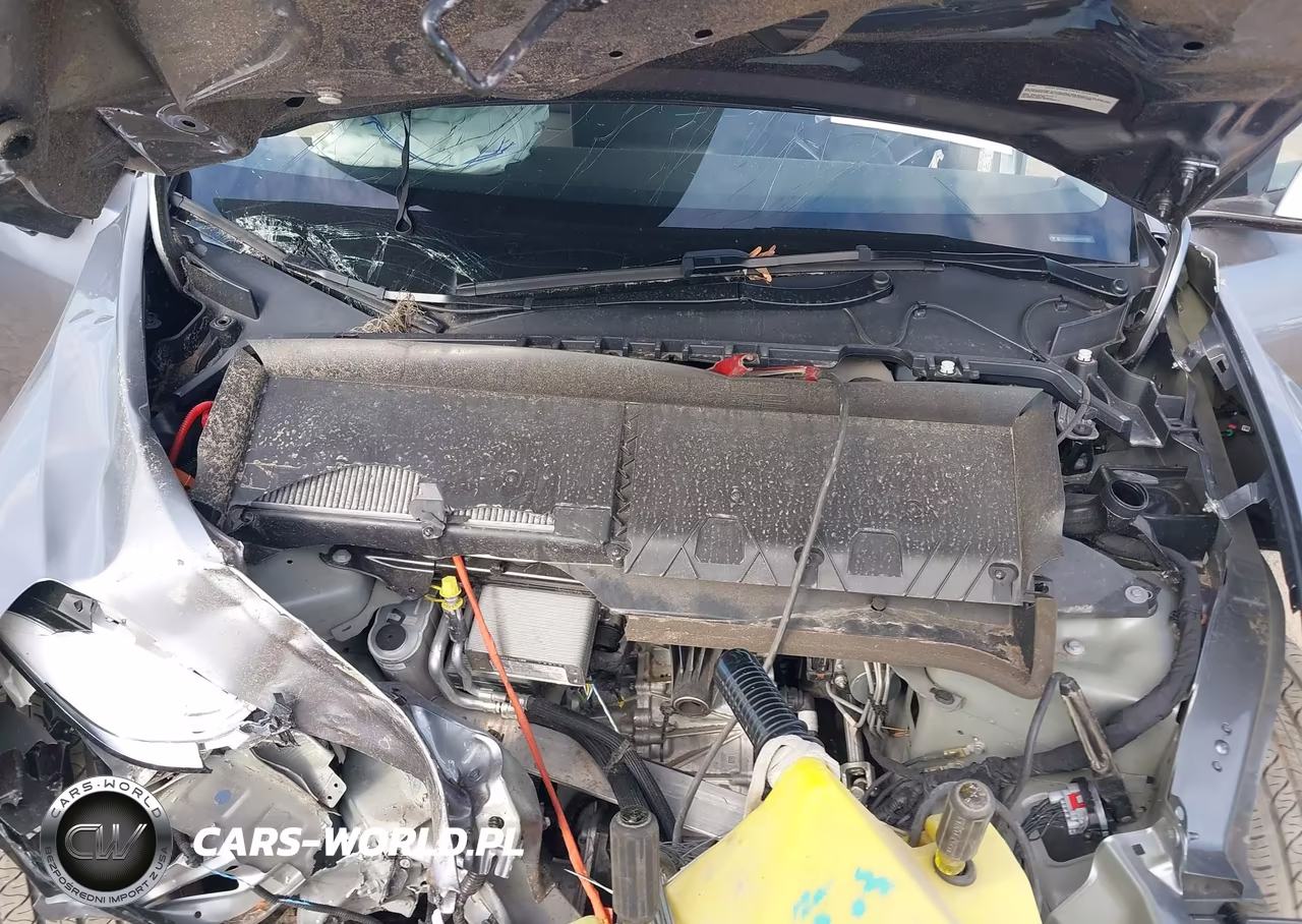 2024 Tesla Model Y Long Range Dual Motor All-Wheel Drive VIN:7SAYGDEE3RA327081 - 10