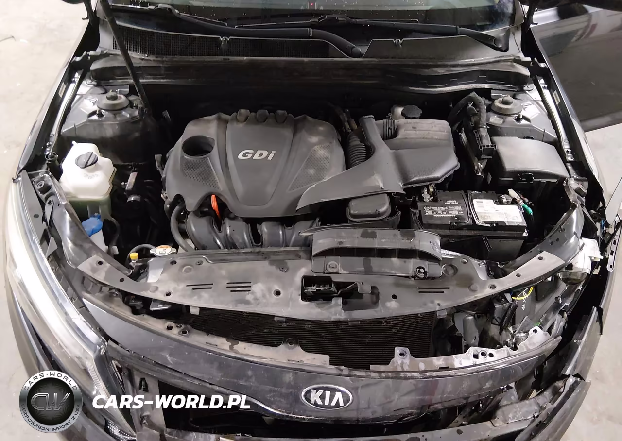 2015 Kia Optima Ex VIN:5XXGN4A7XFG438079 - 10
