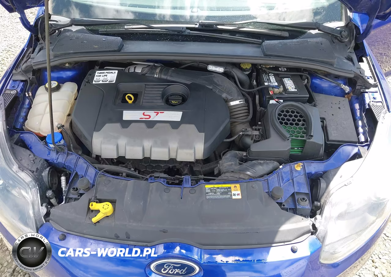 2013 Ford Focus St VIN:1FADP3L9XDL185645 - 10