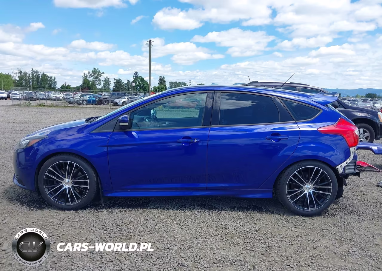 2013 Ford Focus St VIN:1FADP3L9XDL185645 - 15