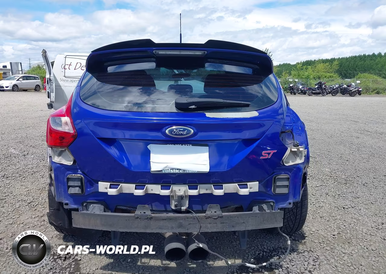 2013 Ford Focus St VIN:1FADP3L9XDL185645 - 17