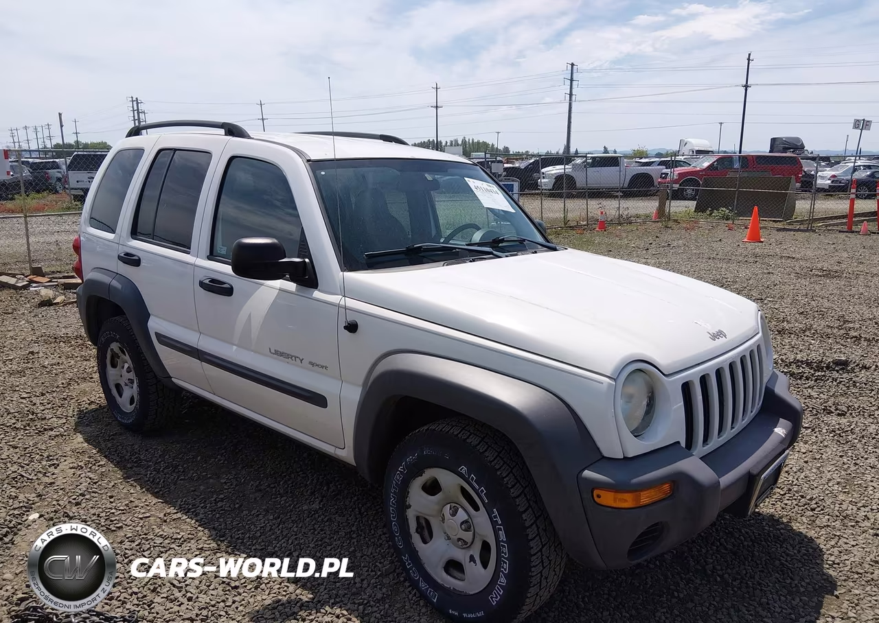 Główne zdjęcie 2003 Jeep Liberty Sport