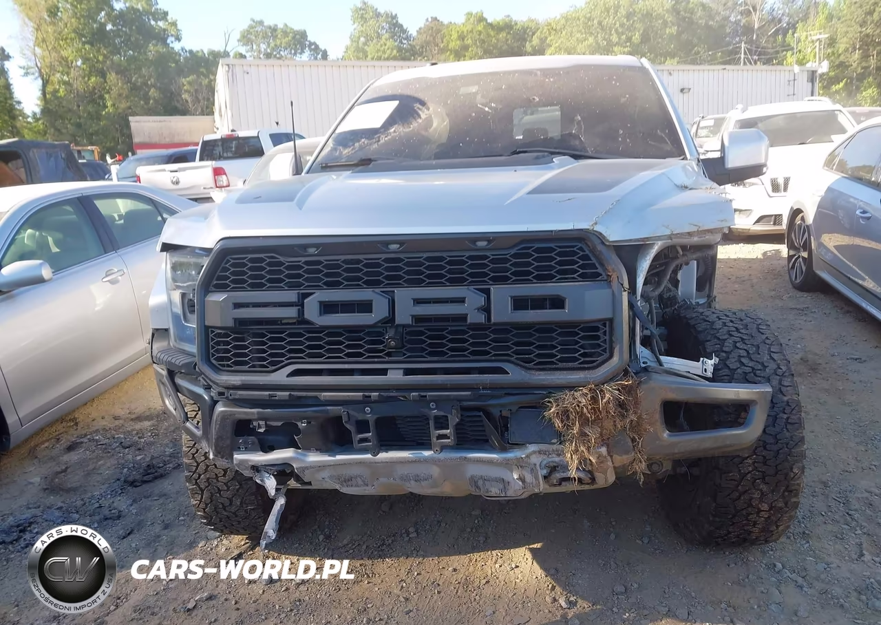 2017 Ford F-150 Raptor VIN:1FTFW1RG9HFC88981 - 12